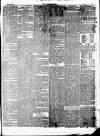 Wisbech Chronicle, General Advertiser and Lynn News Saturday 03 March 1877 Page 7