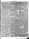 Wisbech Chronicle, General Advertiser and Lynn News Saturday 31 March 1877 Page 7