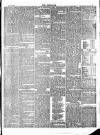 Wisbech Chronicle, General Advertiser and Lynn News Saturday 12 May 1877 Page 7