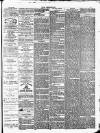 Wisbech Chronicle, General Advertiser and Lynn News Saturday 02 June 1877 Page 3
