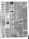 Wisbech Chronicle, General Advertiser and Lynn News Saturday 24 March 1883 Page 3