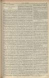 The Stage Friday 09 November 1883 Page 17