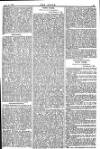 The Stage Friday 20 March 1885 Page 15