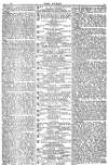 The Stage Friday 22 May 1885 Page 7