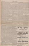 The Stage Thursday 07 December 1899 Page 21