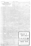 The Stage Thursday 27 October 1904 Page 13