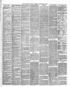 North Devon Gazette Tuesday 09 February 1869 Page 3