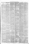 North Devon Gazette Tuesday 22 October 1889 Page 3