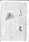 North Devon Gazette Tuesday 12 May 1891 Page 3