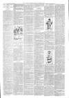 North Devon Gazette Tuesday 01 November 1892 Page 3