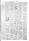 North Devon Gazette Tuesday 29 November 1892 Page 3