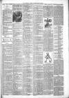 North Devon Gazette Tuesday 23 May 1893 Page 3
