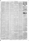 North Devon Gazette Tuesday 22 August 1893 Page 7