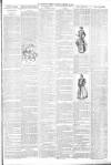 North Devon Gazette Tuesday 30 January 1894 Page 3