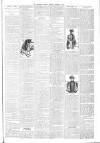 North Devon Gazette Tuesday 08 January 1895 Page 3