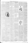 North Devon Gazette Tuesday 21 May 1895 Page 3