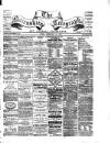 Nairnshire Telegraph and General Advertiser for the Northern Counties Wednesday 10 February 1886 Page 1
