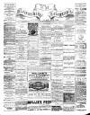 Nairnshire Telegraph and General Advertiser for the Northern Counties Wednesday 28 November 1894 Page 1