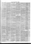 Enniscorthy News Saturday 01 June 1867 Page 3