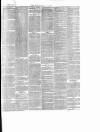 Enniscorthy News Saturday 29 January 1870 Page 3