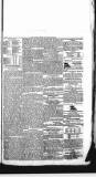 Falmouth Express and Colonial Journal Saturday 24 March 1838 Page 5
