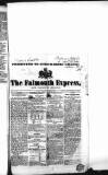 Falmouth Express and Colonial Journal Saturday 17 November 1838 Page 5