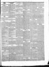 Falmouth Express and Colonial Journal Saturday 13 April 1839 Page 3