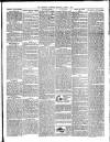 Faringdon Advertiser and Vale of the White Horse Gazette Saturday 04 August 1894 Page 3