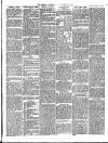 Faringdon Advertiser and Vale of the White Horse Gazette Saturday 23 March 1895 Page 3