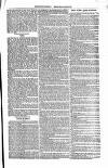 Faversham Gazette, and Whitstable, Sittingbourne, & Milton Journal Saturday 11 August 1855 Page 5