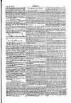 Faversham Gazette, and Whitstable, Sittingbourne, & Milton Journal Saturday 16 February 1856 Page 7