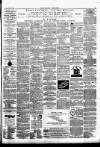 Gloucester Mercury Saturday 22 March 1873 Page 3