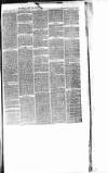 Cornubian and Redruth Times Friday 06 May 1870 Page 3