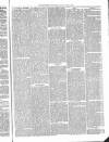 Shrewsbury Free Press, and Advertiser for Salop Saturday 19 May 1866 Page 3