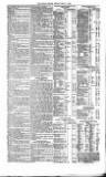 Public Ledger and Daily Advertiser Friday 11 May 1855 Page 4