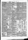 Public Ledger and Daily Advertiser Thursday 05 February 1880 Page 3