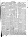 Monmouthshire Beacon Saturday 19 July 1856 Page 5