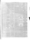 Monmouthshire Beacon Saturday 27 July 1867 Page 7