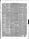 Monmouthshire Beacon Saturday 23 May 1868 Page 3