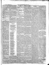 Monmouthshire Beacon Saturday 20 April 1872 Page 5