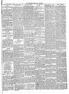 Monmouthshire Beacon Saturday 10 April 1875 Page 5