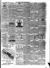 Monmouthshire Beacon Saturday 17 February 1877 Page 3