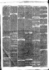 Pateley Bridge & Nidderdale Herald Saturday 03 February 1877 Page 3
