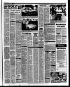 Pateley Bridge & Nidderdale Herald Friday 21 August 1987 Page 19
