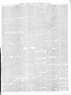 Chepstow & County Mercury Saturday 14 November 1874 Page 3