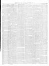 Chepstow & County Mercury Saturday 28 November 1874 Page 3