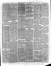 Harrogate Advertiser and Weekly List of the Visitors Saturday 01 December 1877 Page 3
