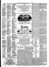Harrogate Advertiser and Weekly List of the Visitors Saturday 17 July 1880 Page 4