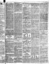 Hull Advertiser Friday 20 February 1824 Page 3