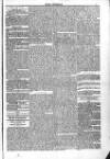 Kelso Chronicle Friday 03 January 1851 Page 5